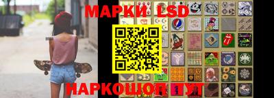 индика Бийск