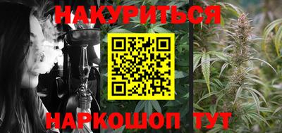 индика Бийск