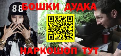 индика Бийск