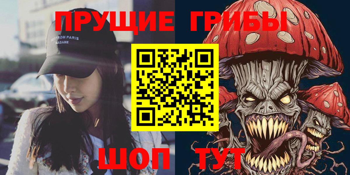 Заволжье  Псилоцибиновые грибы Cubensis  Вход с VPN 