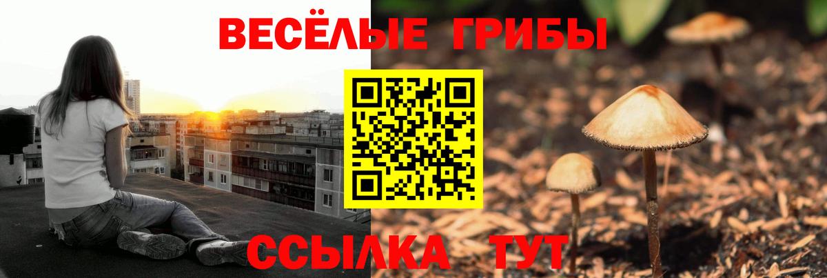 Галлюциногенные грибы MAGIC MUSHROOMS Заволжье